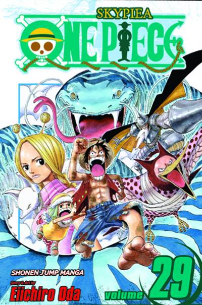 ONE PIECE VOL 29