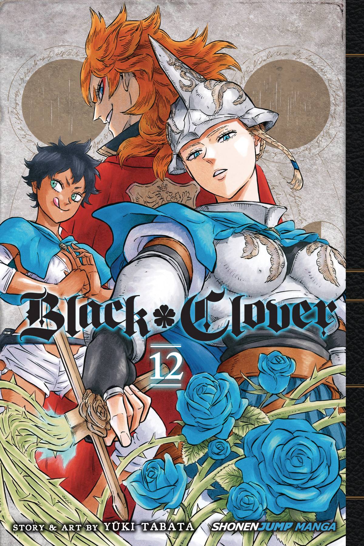 BLACK CLOVER VOL 12